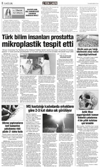 8. sayfayı büyük boyutta görüntülemek için tıklayınız.