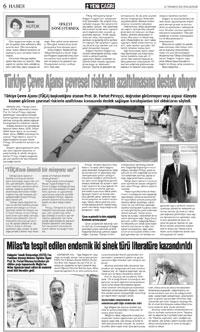 6. sayfayı büyük boyutta görüntülemek için tıklayınız.