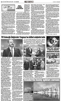 8. sayfayı büyük boyutta görüntülemek için tıklayınız.