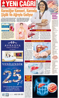 12. sayfayı büyük boyutta görüntülemek için tıklayınız.
