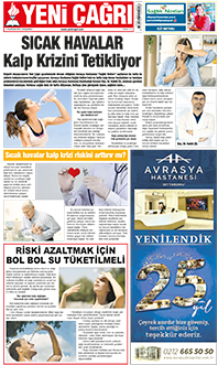 12. sayfayı büyük boyutta görüntülemek için tıklayınız.