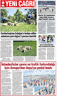12. sayfayı büyük boyutta görüntülemek için tıklayınız.