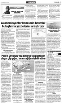 7. sayfayı büyük boyutta görüntülemek için tıklayınız.