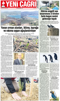 12. sayfayı büyük boyutta görüntülemek için tıklayınız.