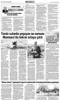 8. sayfayı büyük boyutta görüntülemek için tıklayınız.