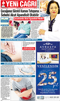 12. sayfayı büyük boyutta görüntülemek için tıklayınız.
