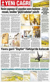 12. sayfayı büyük boyutta görüntülemek için tıklayınız.