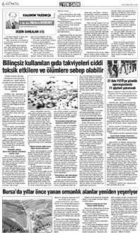 6. sayfayı büyük boyutta görüntülemek için tıklayınız.