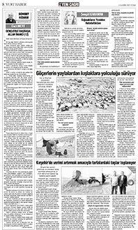 8. sayfayı büyük boyutta görüntülemek için tıklayınız.