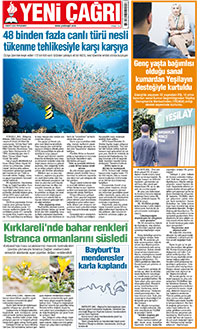 12. sayfayı büyük boyutta görüntülemek için tıklayınız.