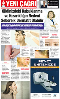12. sayfayı büyük boyutta görüntülemek için tıklayınız.