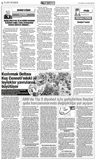 8. sayfayı büyük boyutta görüntülemek için tıklayınız.