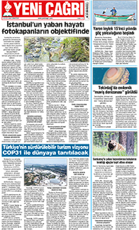 12. sayfayı büyük boyutta görüntülemek için tıklayınız.