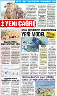 12. sayfayı büyük boyutta görüntülemek için tıklayınız.