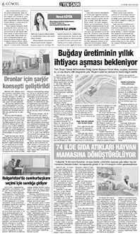 6. sayfayı büyük boyutta görüntülemek için tıklayınız.